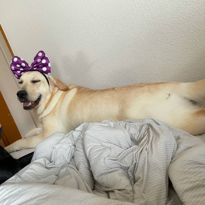 79666d97 9ab9 4b94 928b b8c36aeb0eb2 1632531373194