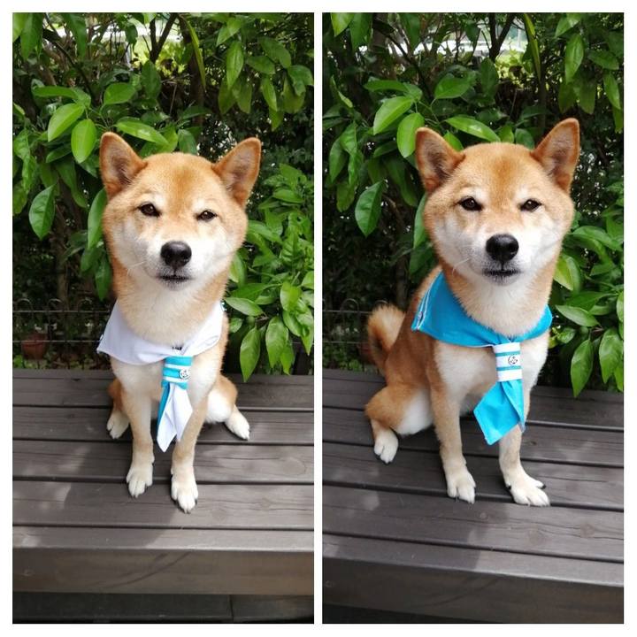 79666ff1 68b8 4992 a9e5 d20230569310 1592275293734