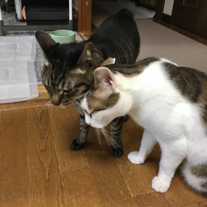 796674e2 1746 4a27 8f94 7c16c60b17a7 1562240728225