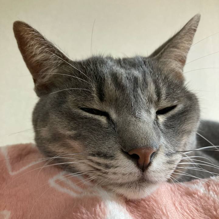 7966758c 4fc6 4348 b3c6 f82a62fd548a 1636637544497