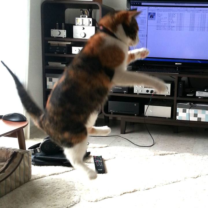 796688b0 0cf5 4b1a a9d9 93fa1493b8e5 1558560931280