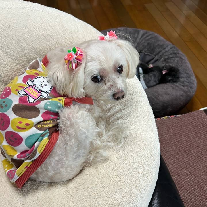 79668d0e 3d5c 47c6 b45e 0985541df5e6 1770444896583