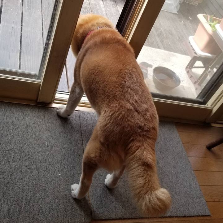 79669376 0dd5 4f80 8240 fed6470b124c 1744675847962