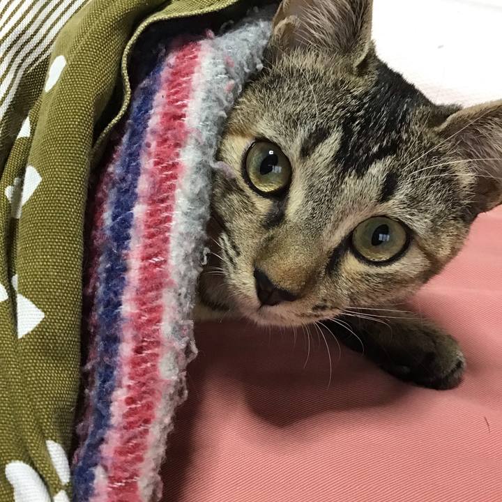 7966c8c1 21f1 4ade aef9 8a83ba4b7d68 1574124840114