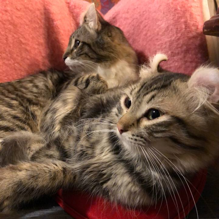 7966d557 0839 4288 a615 9f6b3bd67240 1512904635044