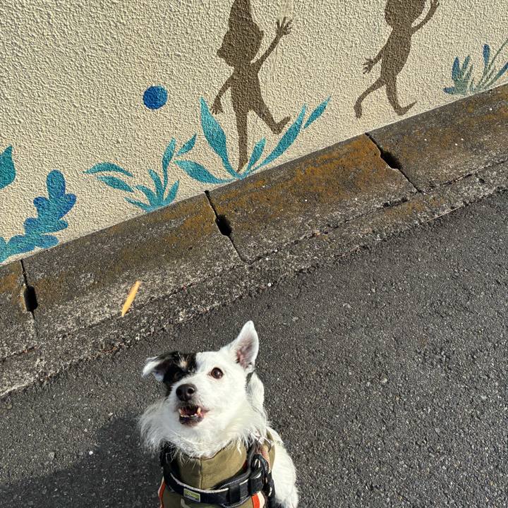 79674f7a e5fb 4e21 91ed c820c3857a92 1771890218549