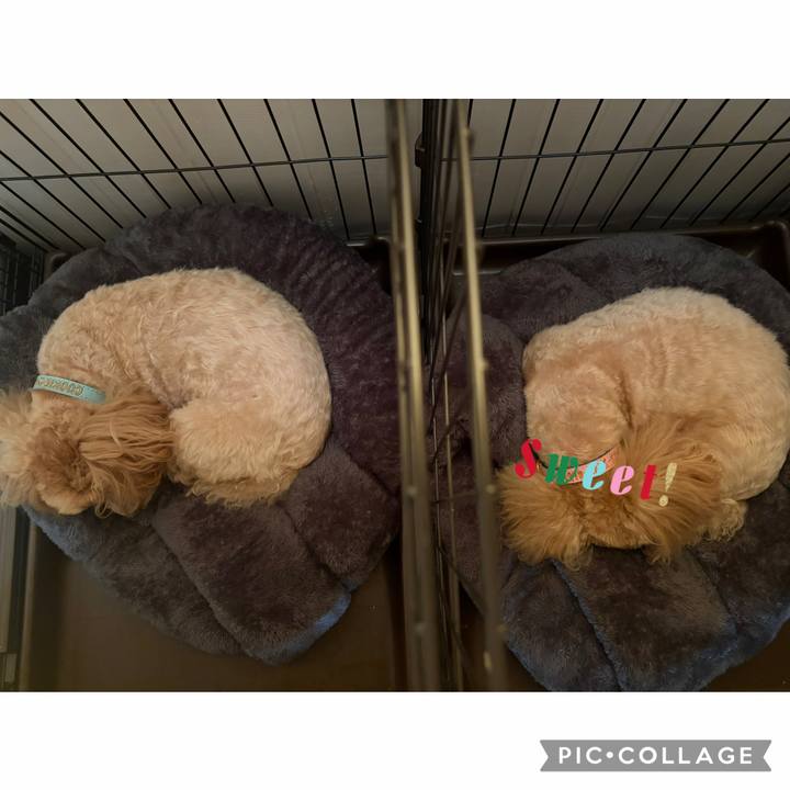 79676c30 a3c6 4fe6 a7d0 5efe21408844 1774566580063