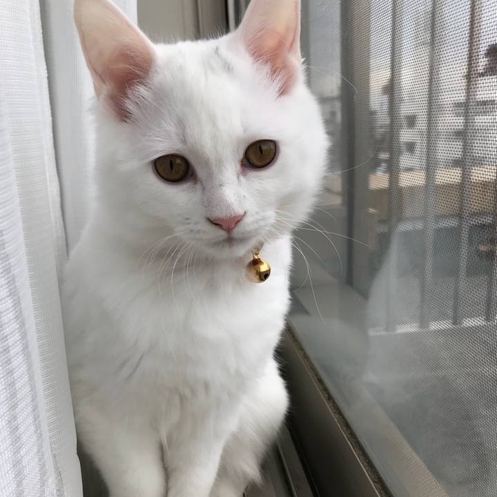 796782b6 a5e9 474c adff 1d4697a1aeda 1511319205622