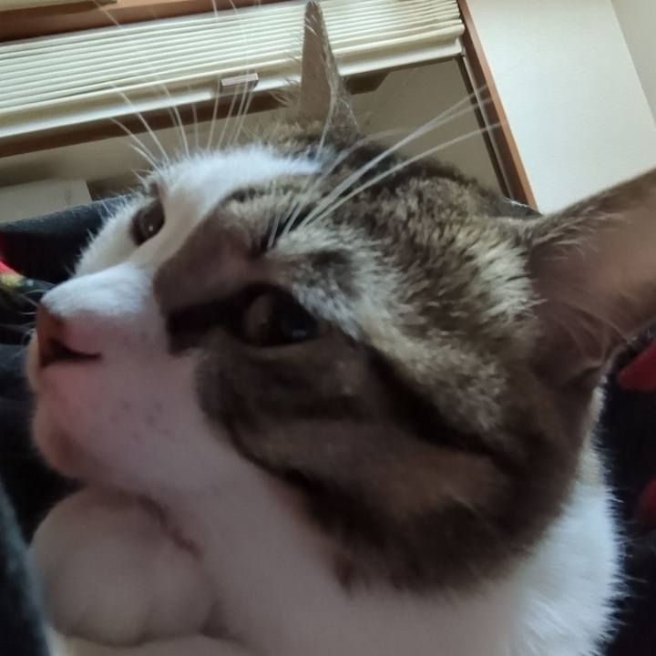 7967b067 0497 4c6a 8505 28af54427c14 1670052286186