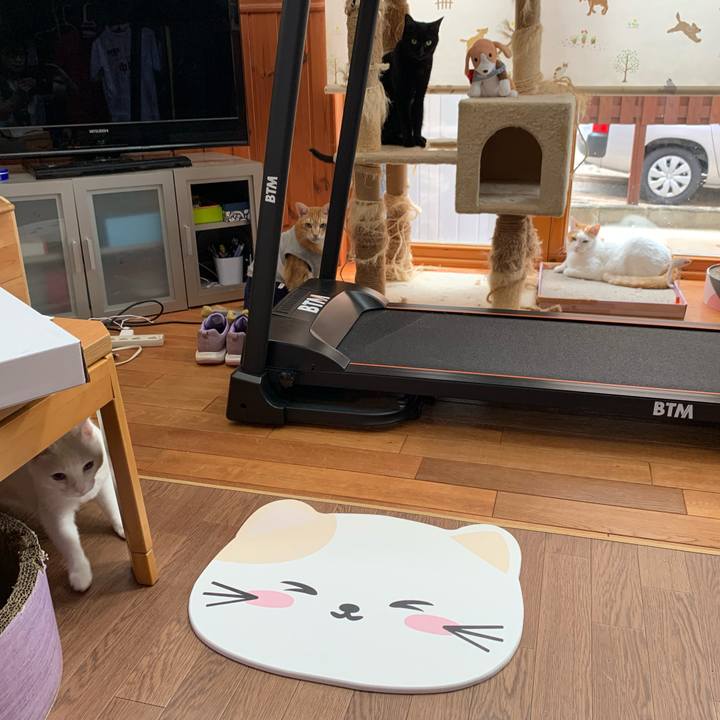 7967c502 a723 40df 9b93 87db3fc919d0 1626497291795