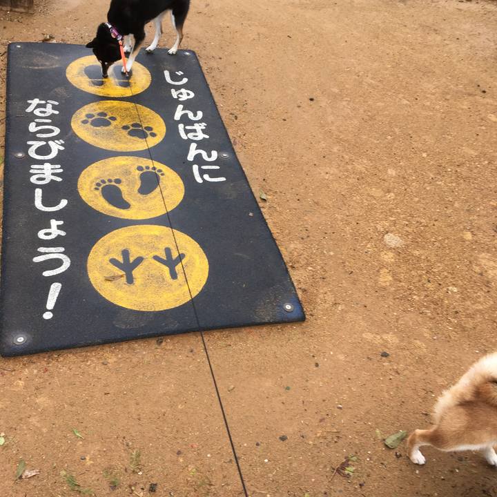 7967d0c2 bca7 497d 8344 e8848cded3e1 1536480206957