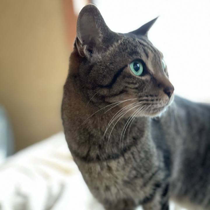 7967f269 bb94 401d 8d3b 8488e911968a 1608943939438