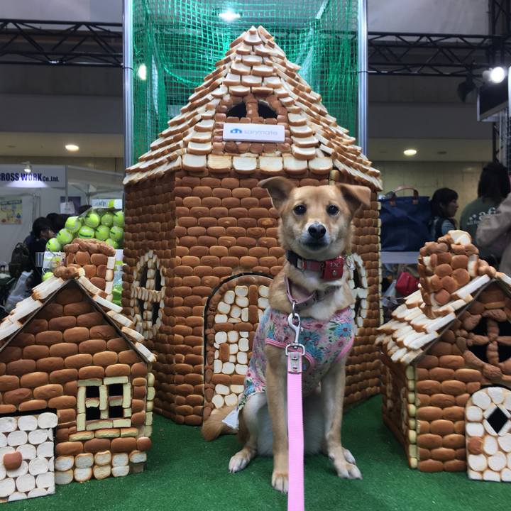 79685ec7 bcfe 4c95 b01e 5dc2f1a09dc8 1522490745774