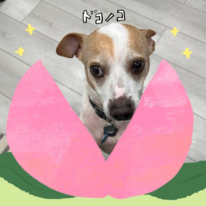 79687c65 88d4 4d28 a481 df3e09f7f063 1772157438707