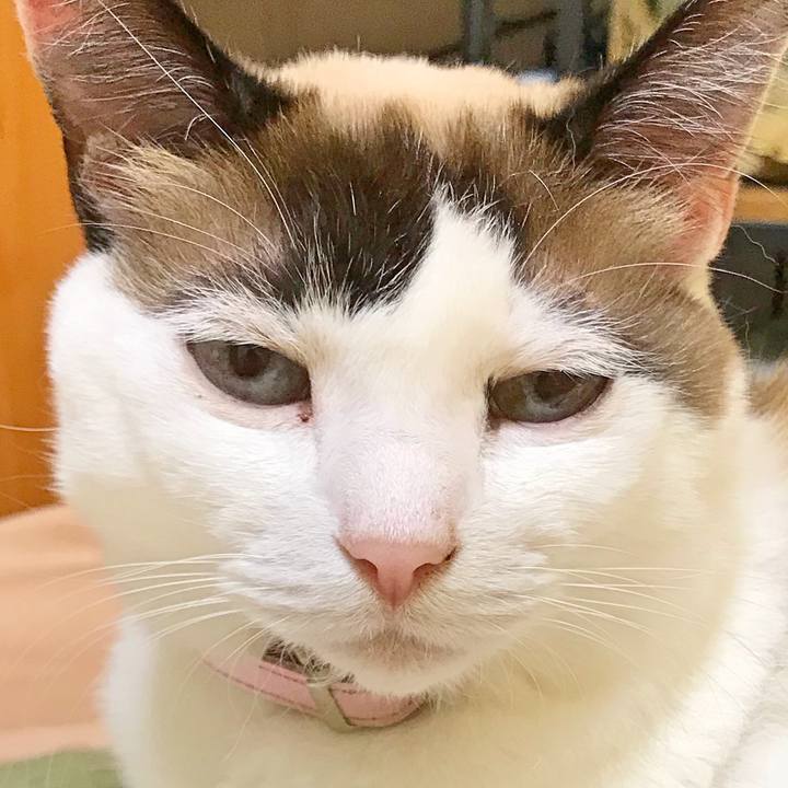 7968ab49 5af0 4feb aeab 02d535fb330b 1522845210944