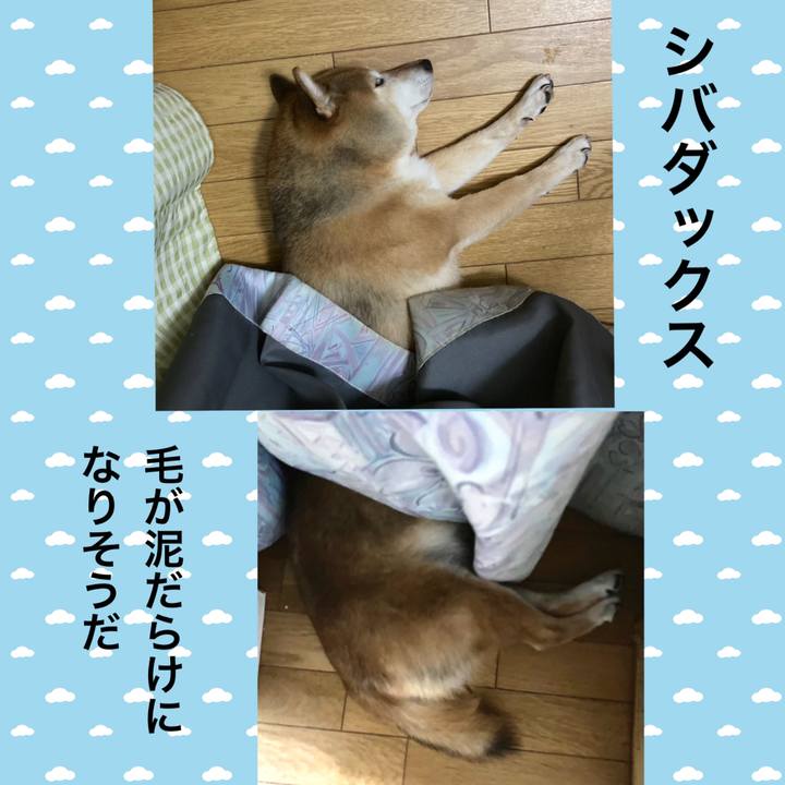 7968b2cd 2243 4726 a786 92bc3fde0096 1661948997062