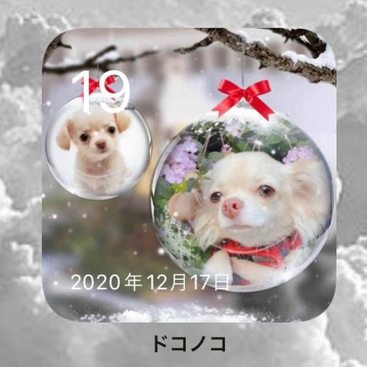 7968c62e 7fbd 4e31 87bf ccfb1ad53987 1639907910760