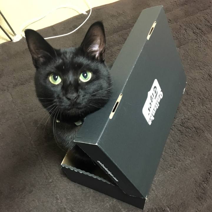 7968ca2a ca56 44e6 8bc6 0e4c35fe622c 1516438038130