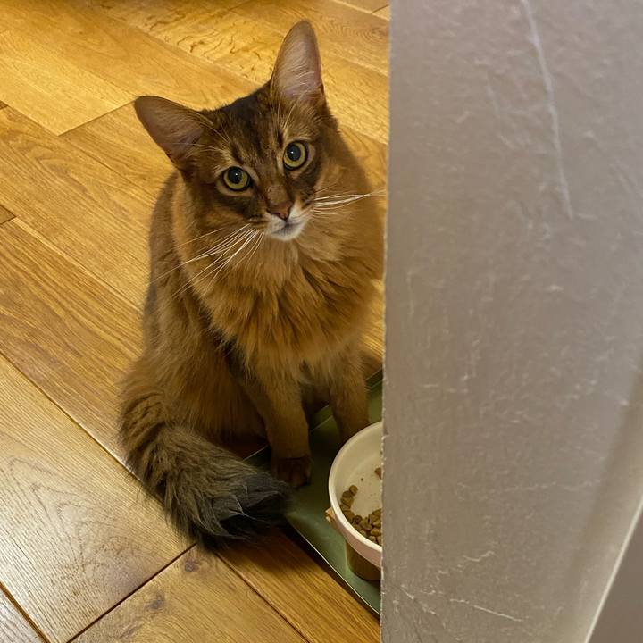 7968f8c2 66aa 4276 8575 bead03ee233d 1656923246586