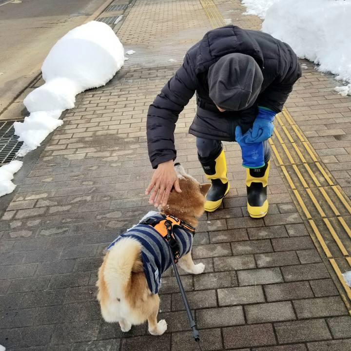 7969226c a543 4a9f b0bf 69ad8e7f35ce 1641442390083