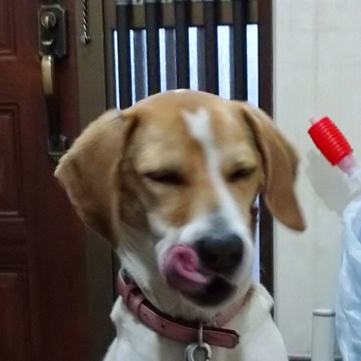 79694daf a823 488c 8e59 0841329c16ec 1585475890494