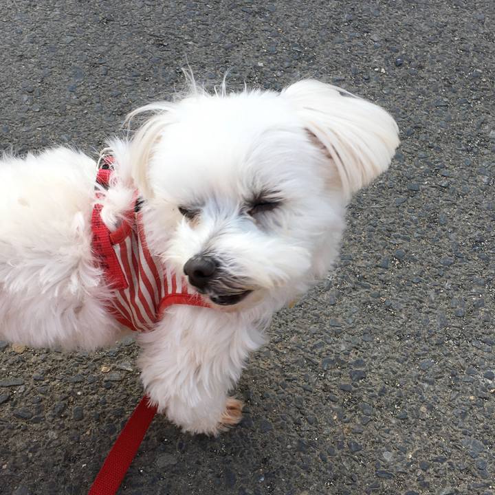 7969560d 4315 48de a27b 6fae1de30553 1582175741305