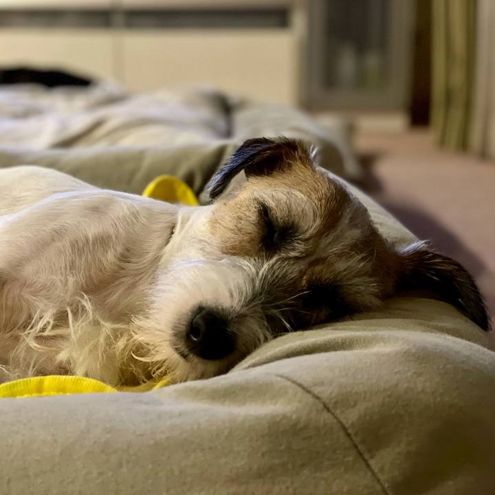 7969705c 110c 4459 8548 72f7003fbf9c 1629378442419