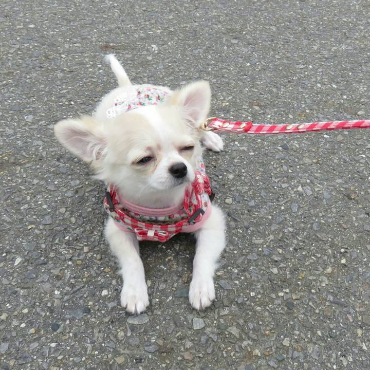 79697e96 5832 4ac6 91b1 8643835d7d6e 1592700774033