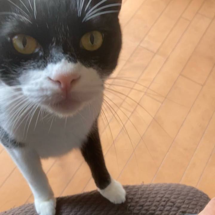 79697eff 7155 4c50 aa53 78796ceb1ce3 1603348259895