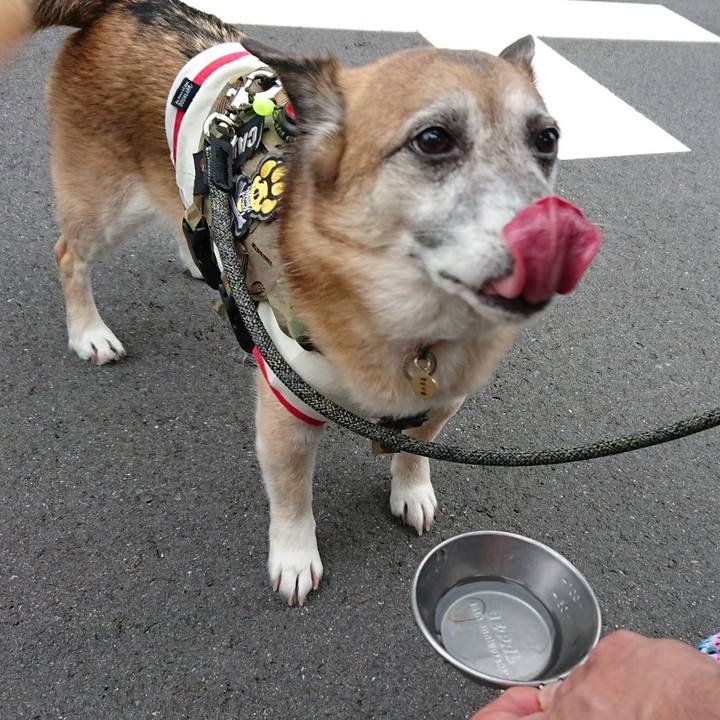 79698719 c304 4b4a b1b4 b6f77e76b842 1561297405164