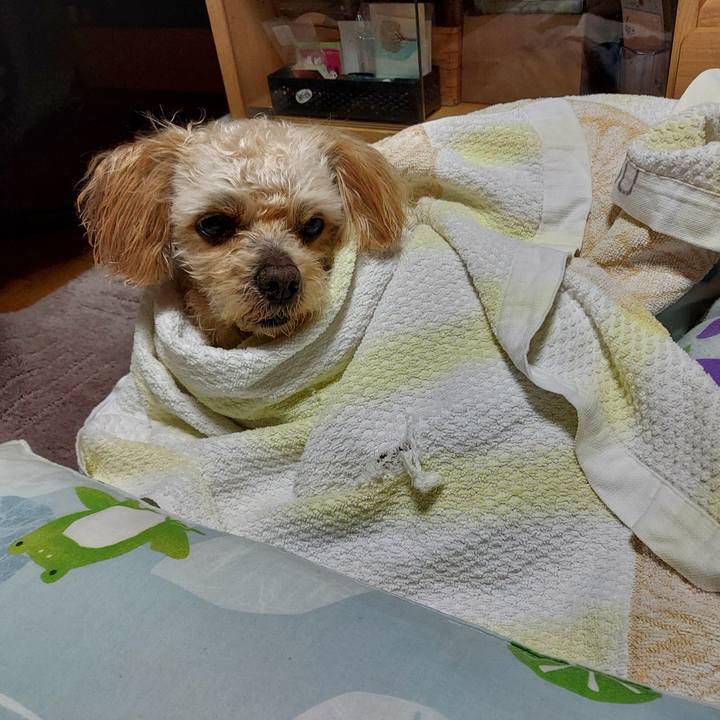 7969b081 e442 4004 9503 bb545d886d99 1650191888693