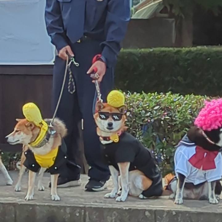 7969f733 9ef7 4673 a192 847ea97f8445 1730461263236