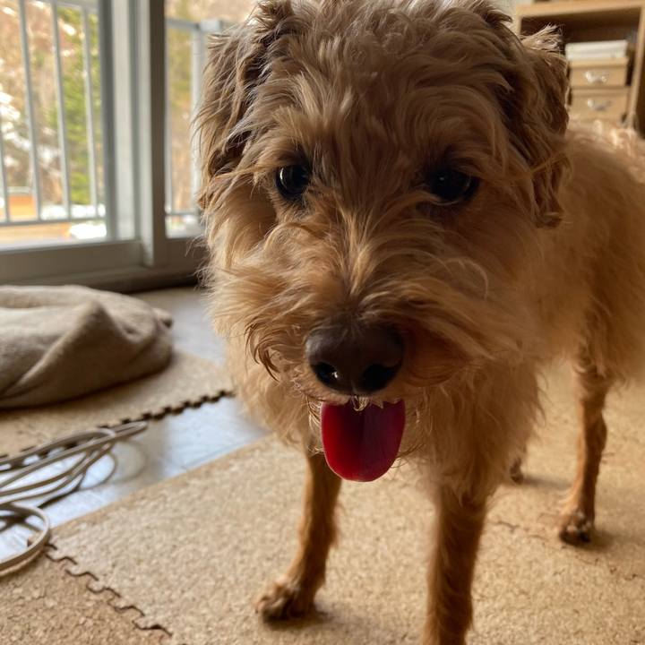 7969f8bc a1d5 4045 a1e0 5c29076a0ec0 1649371163572