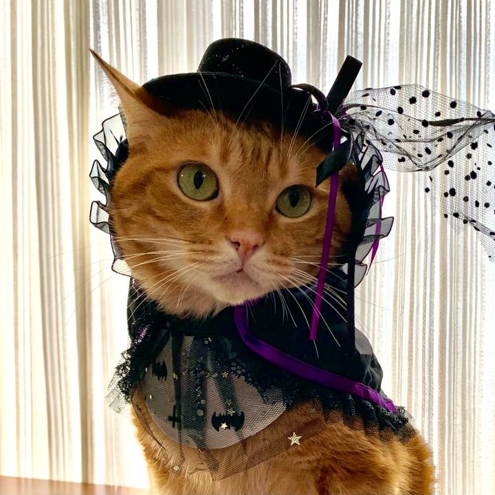 796a2253 dd42 4cf6 a654 7b5cba1d8cb5 1633869884561