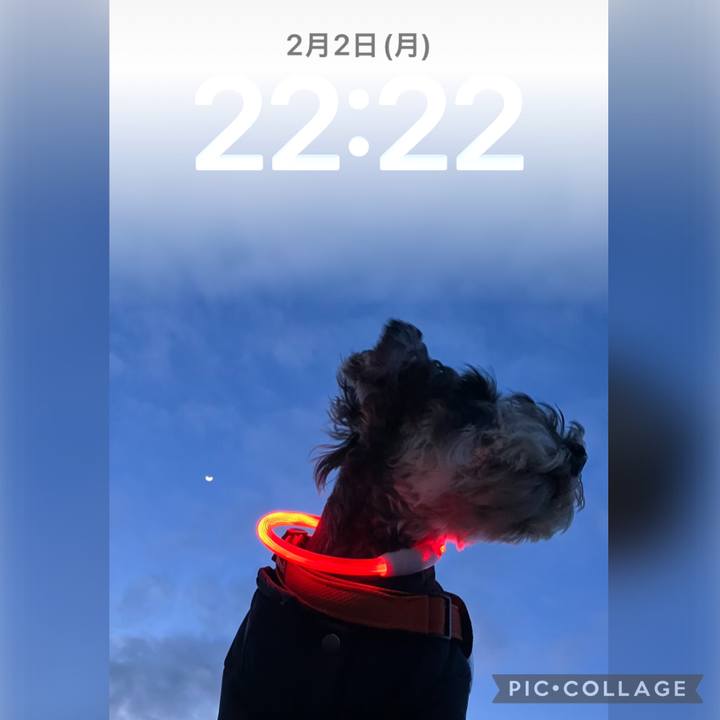 796a25d5 e6af 4f79 8d96 14745be94074 1770038656758