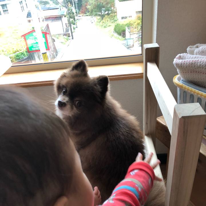 796ae501 c1b5 479a bf94 691c389cff8f 1571054987814