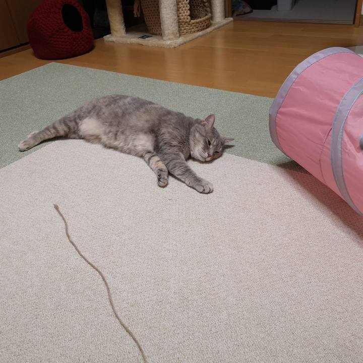 796b867c b5ea 425a 96f4 68d7efe0a19b 1592922804594