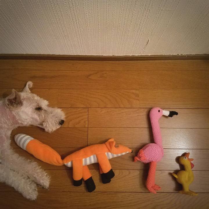 796ba1a9 41ea 4cba 8b29 73fe48207f95 1596982639813