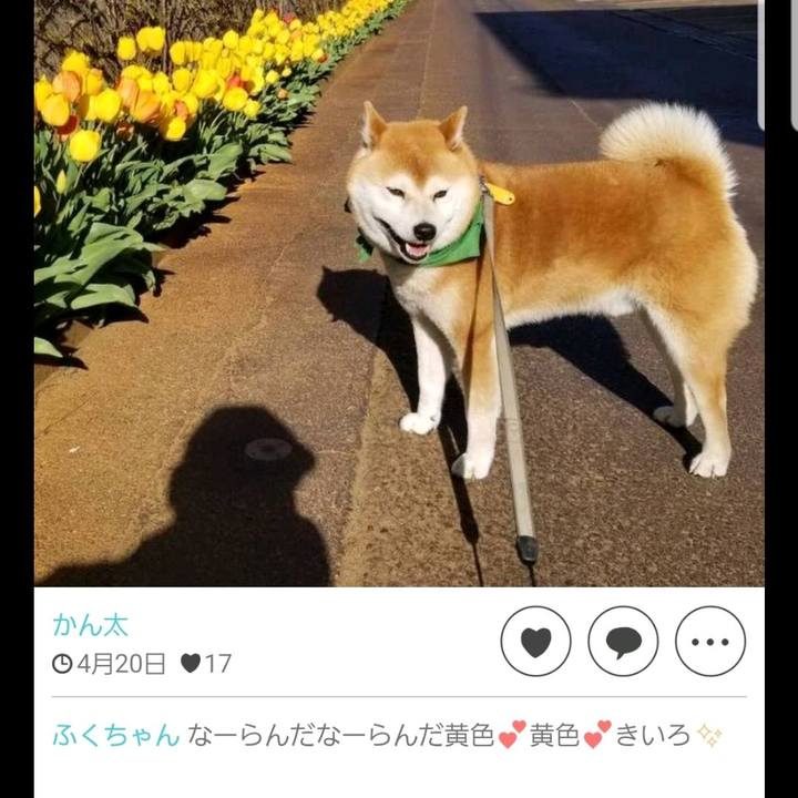 796ba9c2 9fea 41f1 855c 2dbe31d9117f 1572774408665