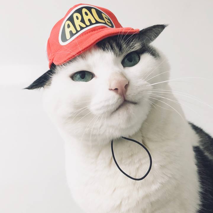 796bbf64 311d 479c 9750 1eeb55fb509a 1576928744903