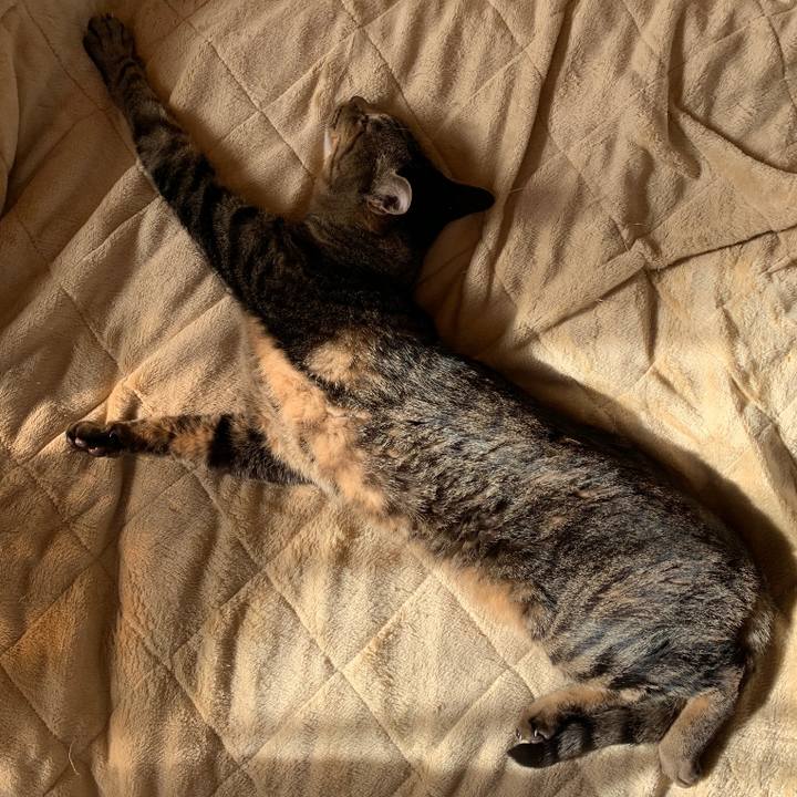 796bc260 ccde 4fa4 8e7b f1580a96f698 1547429326749