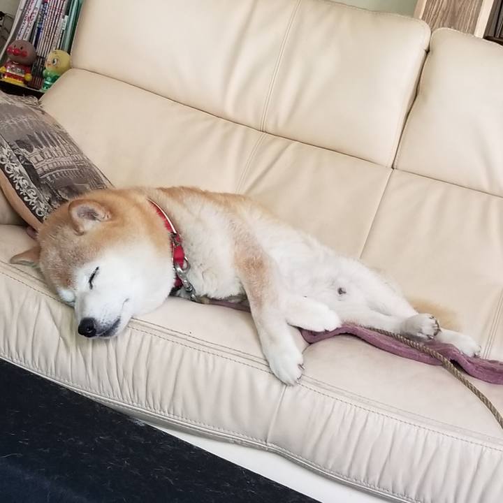 796c1483 5dea 4946 8120 8188a7bbe995 1719636024543