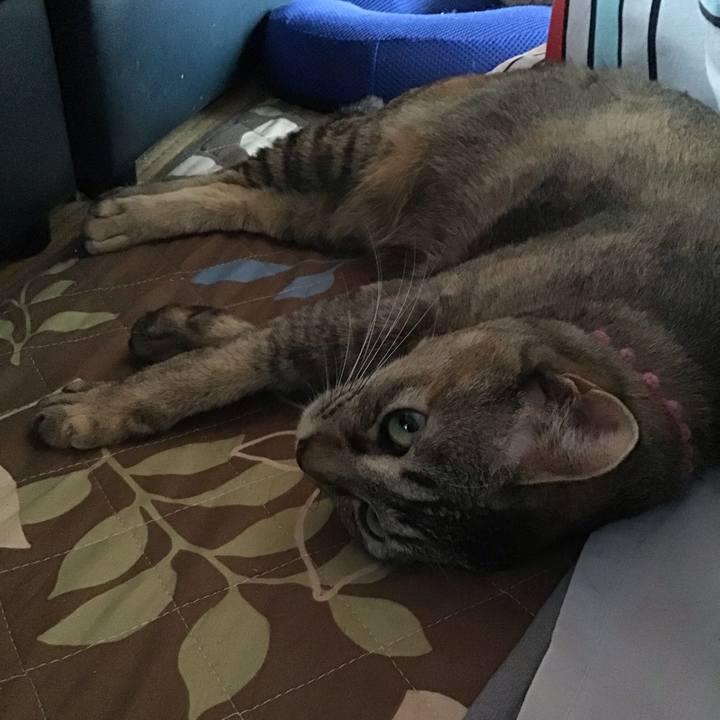 796c48fd 685e 4ea2 bf0e 8aabb8677809 1588736023593