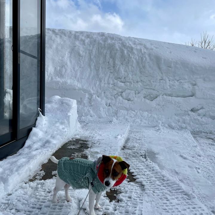 796c6be1 4099 479a ac02 04b5823bcde4 1645595623330