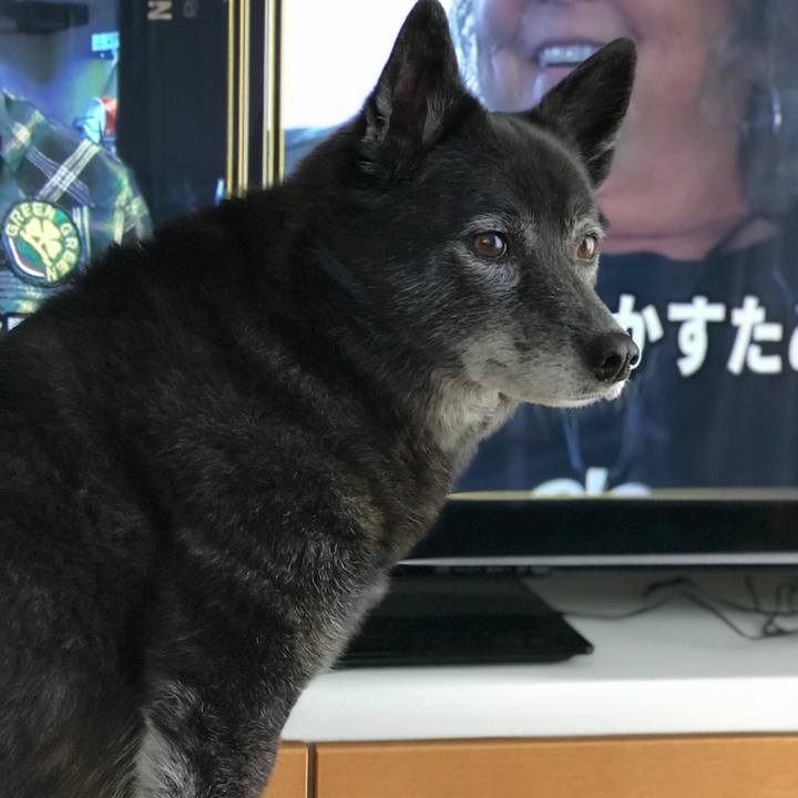 796c9e96 7bc3 4f5c 836a 5fa5b01efad0 1531480531847