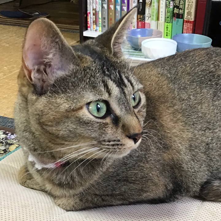 796cafe6 827d 465d 8db4 af678d9ccc88 1595660172337