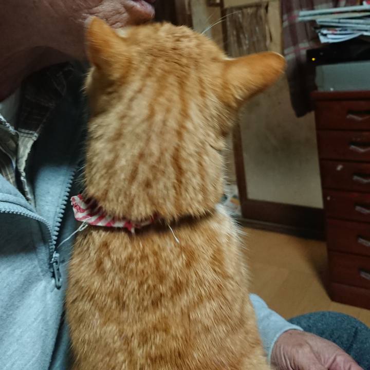 796cb44f 7ea1 498a 8ded 1af983ae2ac5 1607630161811