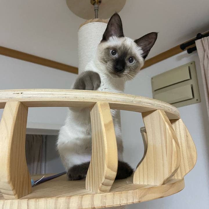 796cd29b 2d77 45aa ab65 391cd35ea203 1693511266192