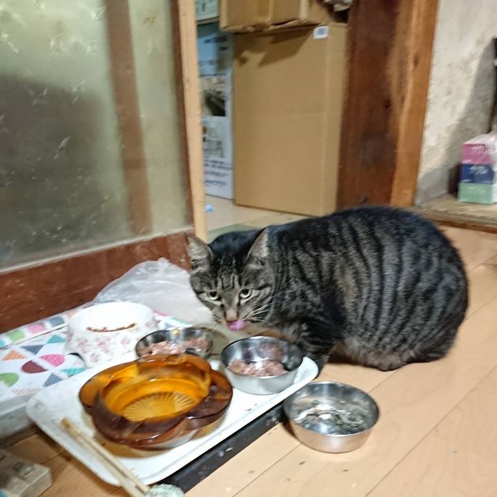 796dacf5 688b 4839 805f f92add8a05e6 1631536815105