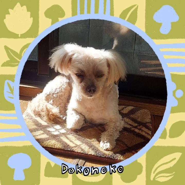 796dc2e0 f140 4f4f a22c ee965f5040b1 1763442364926